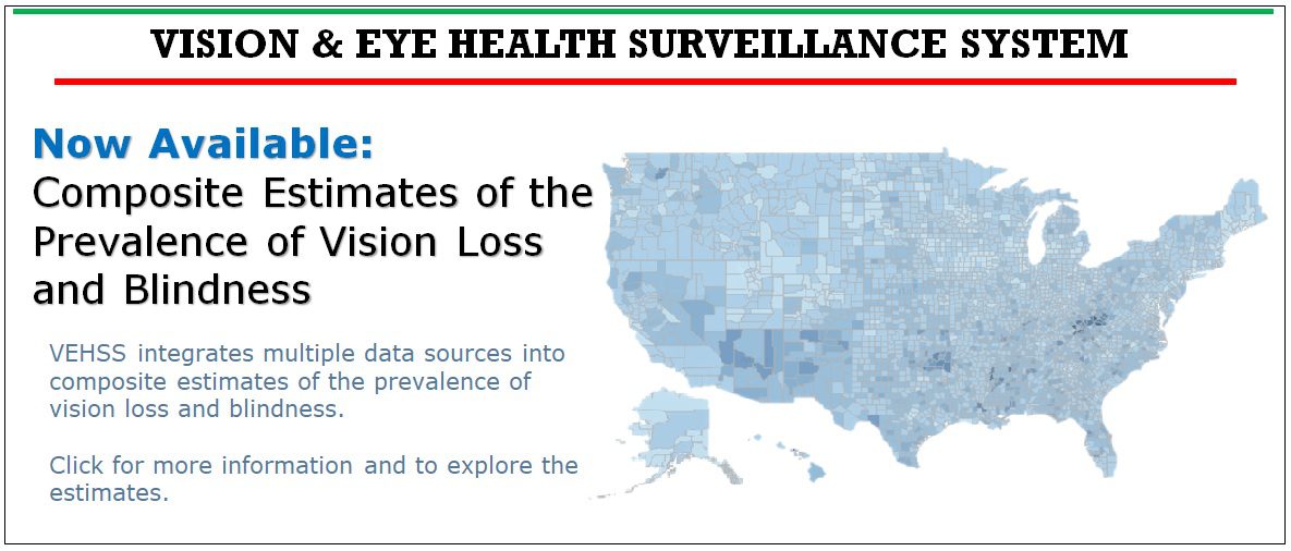 Vision and Eye Health Surveillance System
